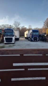 CIOLACU VERA TRANS SRL
